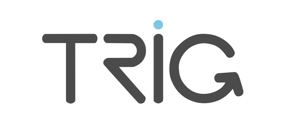 Trig Avionics logo